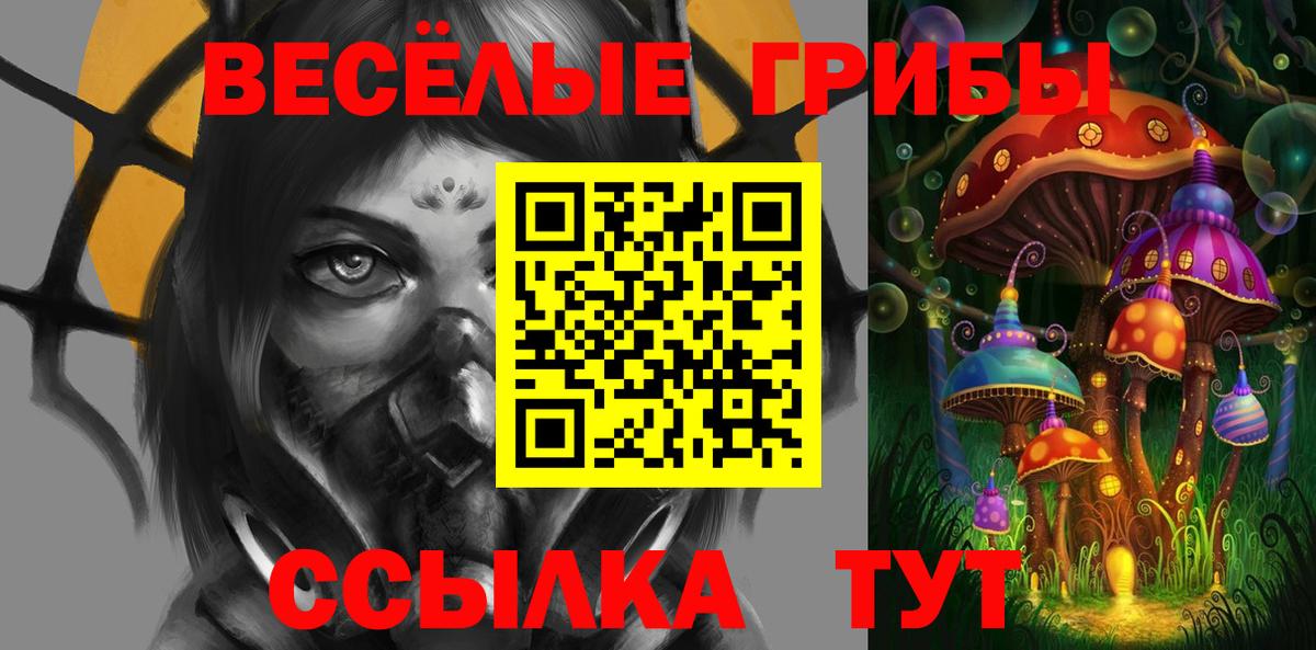 Грязи  Псилоцибиновые грибы мицелий  Вход с VPN 
